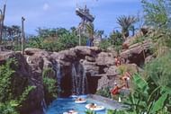 The Typhoon Lagoon water slide (Image via Disney)